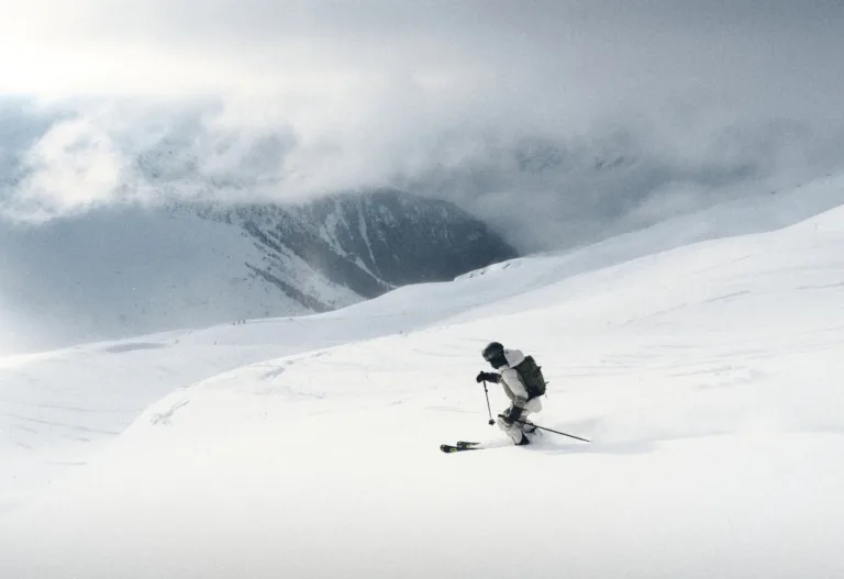 Un skieur descend une pente enneigée devant un paysage de montagnes.